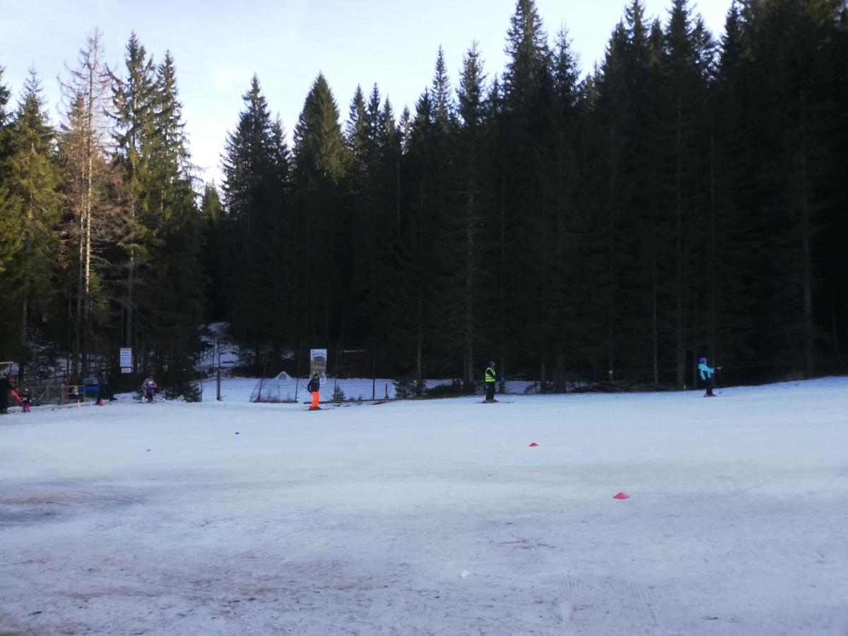 Brunarica Na Goreljeku Bohinj Exterior photo