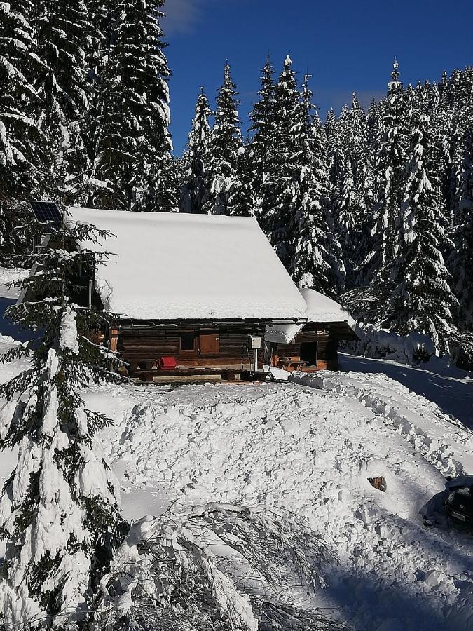 Brunarica Na Goreljeku Bohinj Exterior photo