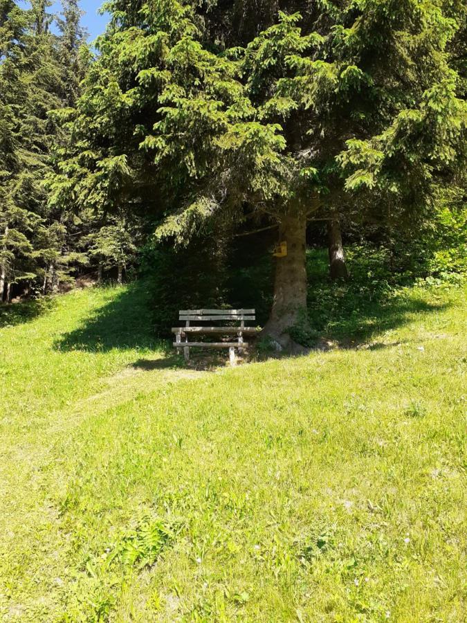 Brunarica Na Goreljeku Bohinj Exterior photo